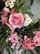 Lyla Pink Rose Green Beech Door Wreath 24" Natural Grapevine All Season Indoor Outdoor Decor